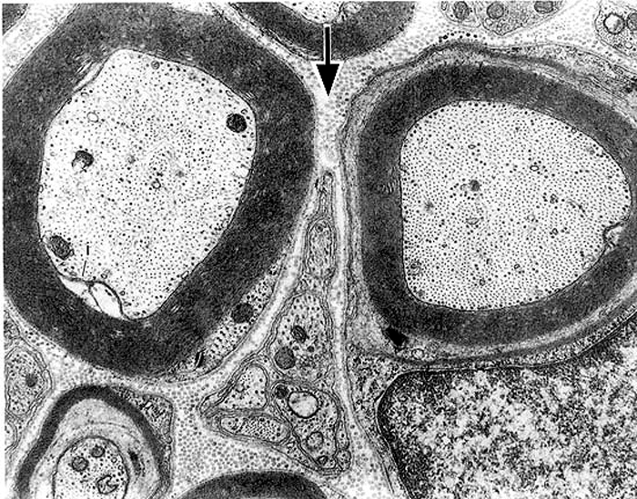 Image 1 - Question 1