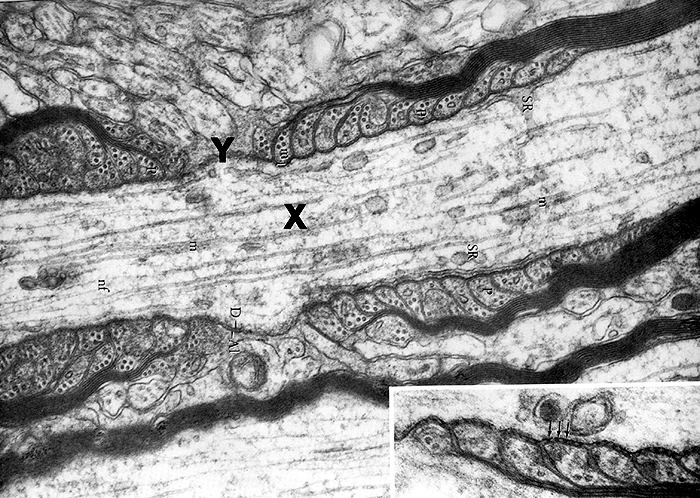 Image 1 - Question 2