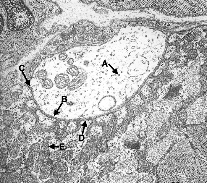 Image 1 - Question 3