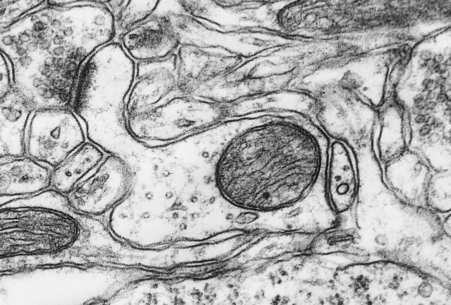 Image 1 - Question 4