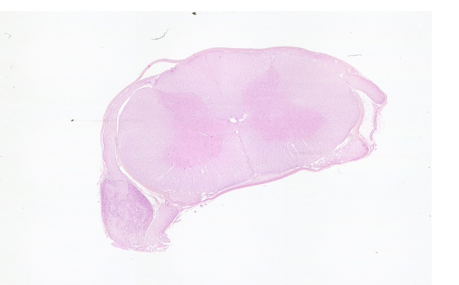 Image 1 - Topic 1