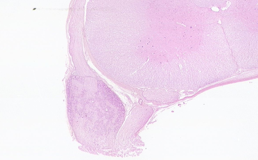Image 2 - Topic 1