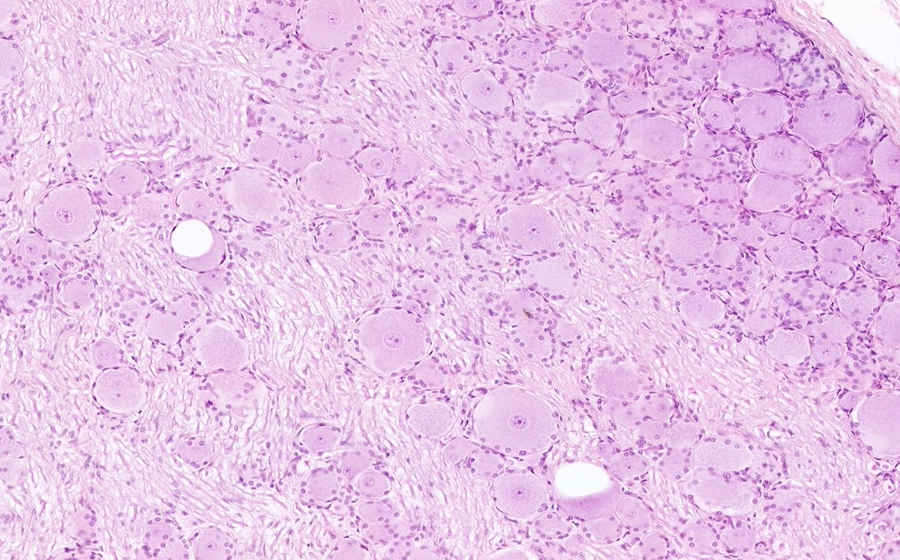 Image 4 - Topic 1