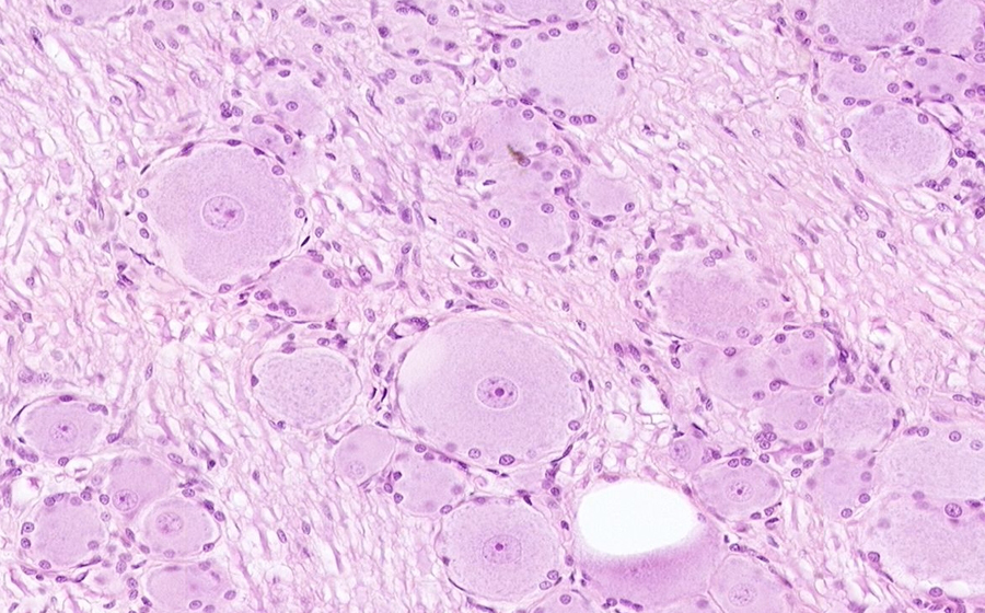 Image 4 - Topic 1