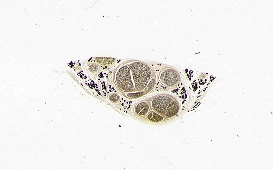 Image 1 - Topic 2