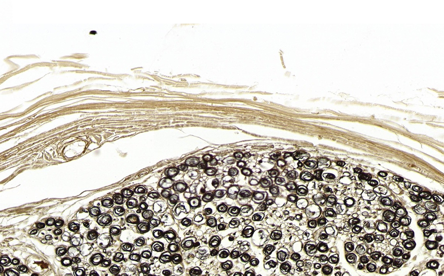 Image 4 - Topic 2