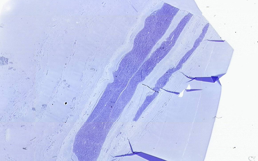Image 1 - Topic 3