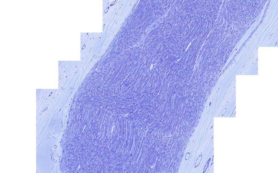 Image 2 - Topic 3