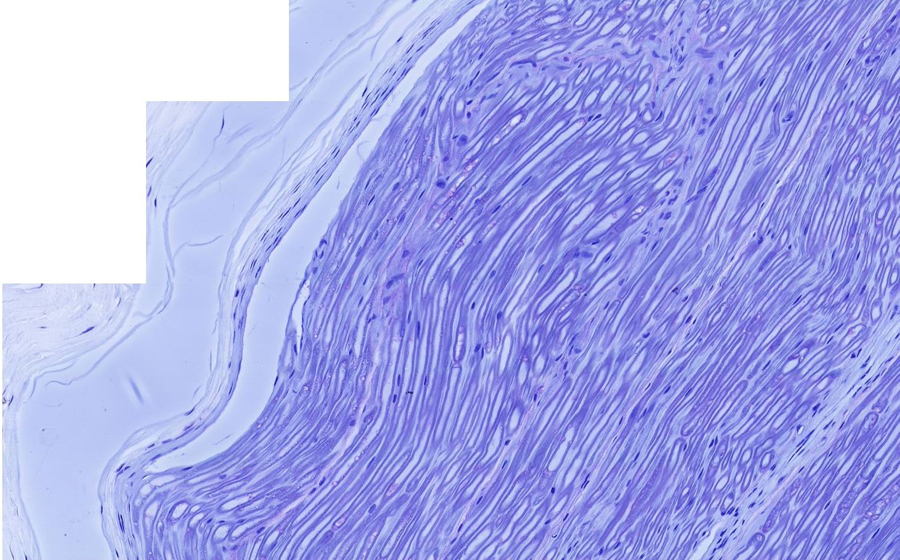 Image 3 - Topic 3