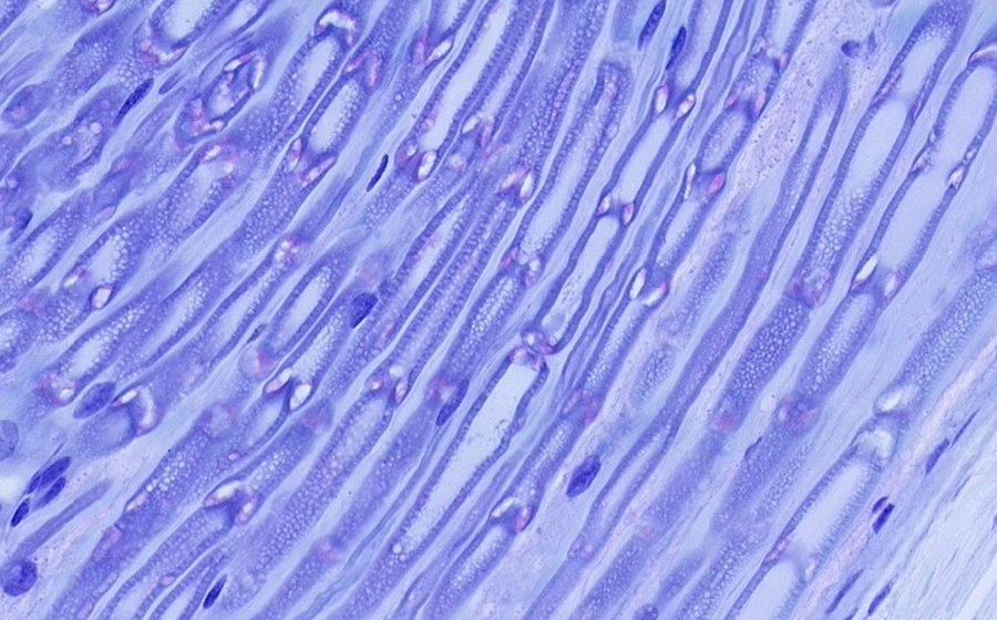Image 4 - Topic 3