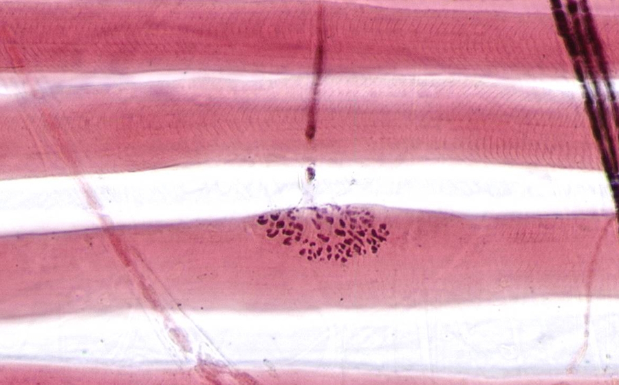 Image 4 - Topic 4