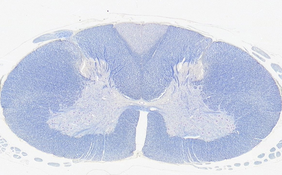 Image 1 - Topic 5