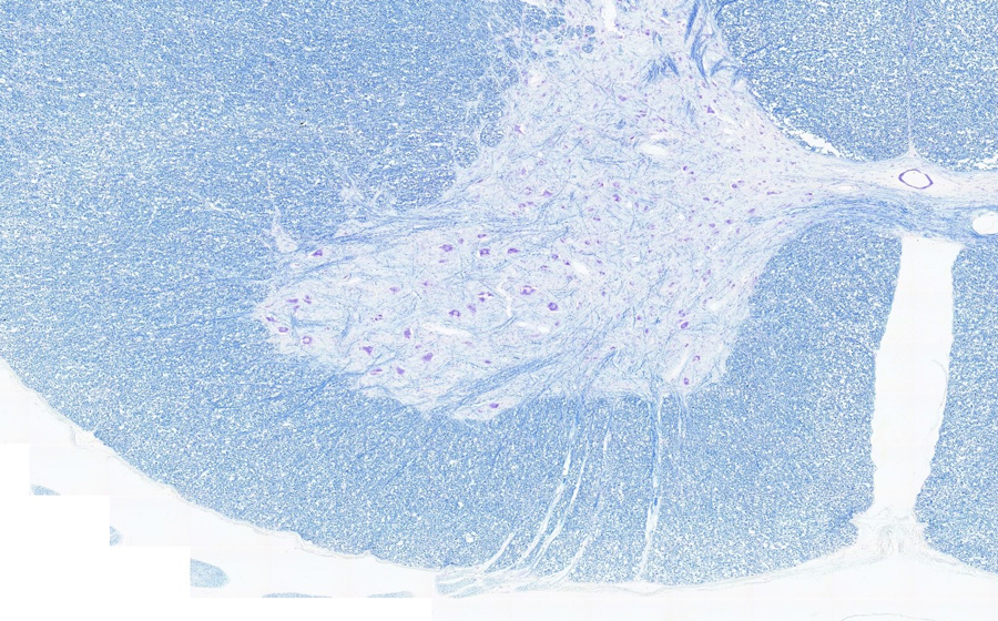 Image 2 - Topic 5