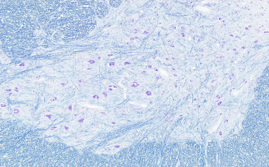 Image 3 - Topic 5