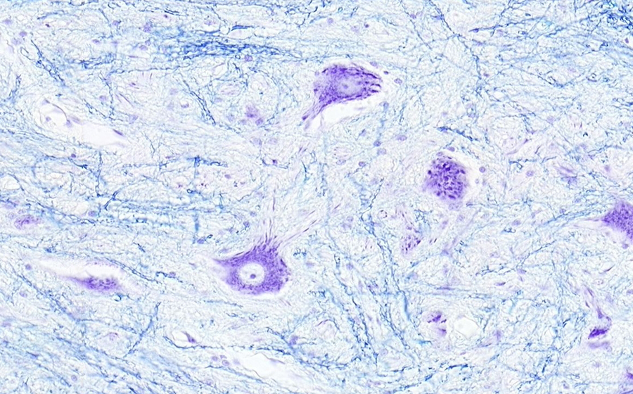 Image 4 - Topic 5