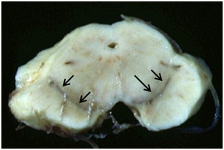 Image 1 - Question 8