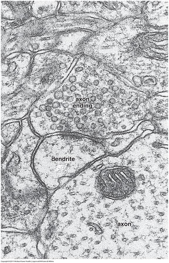 Image 2 - Topic 8
