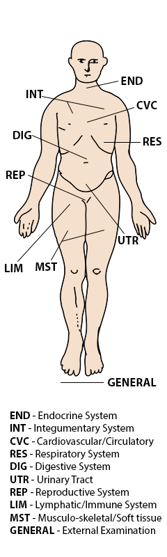 labeled body