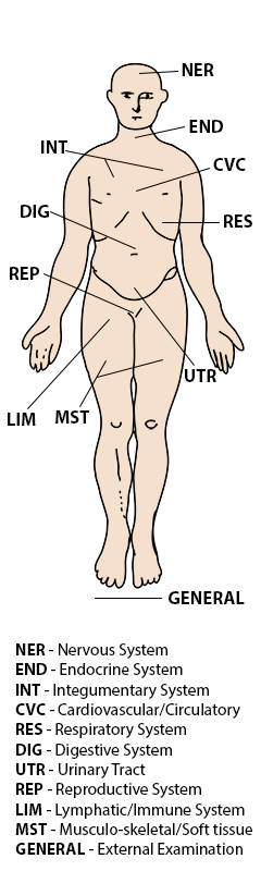 labeled body