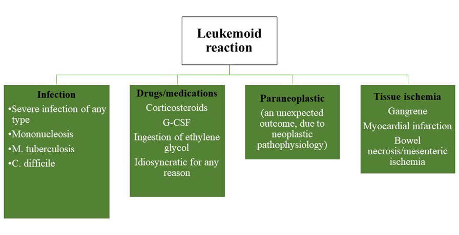 RetCtRetHemo