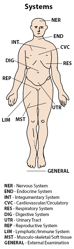 labeled body