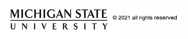 MSU wordmark-copyright