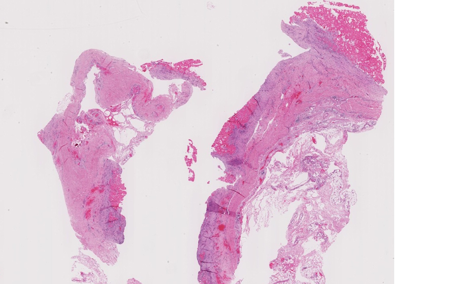 Slide 1 - Image 1
