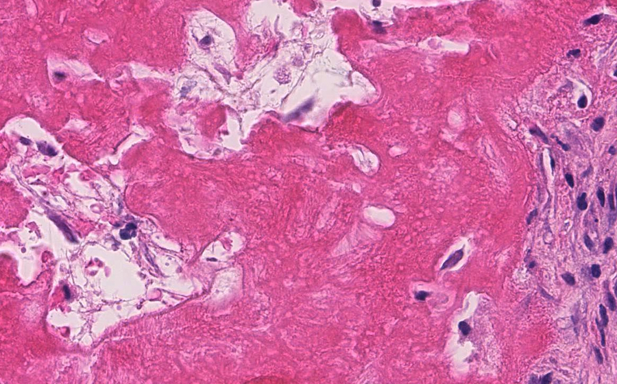 Slide 1 - Image 6