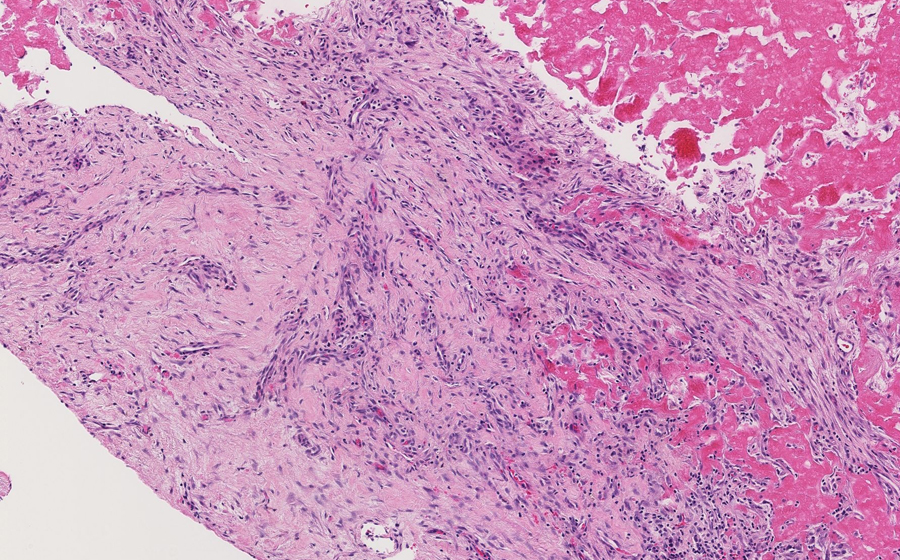 Slide 1 - Image 7