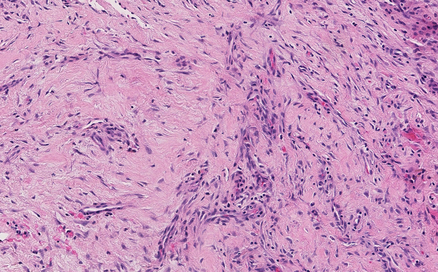 Slide 1 - Image 8