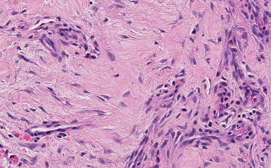 Slide 1 - Image 9