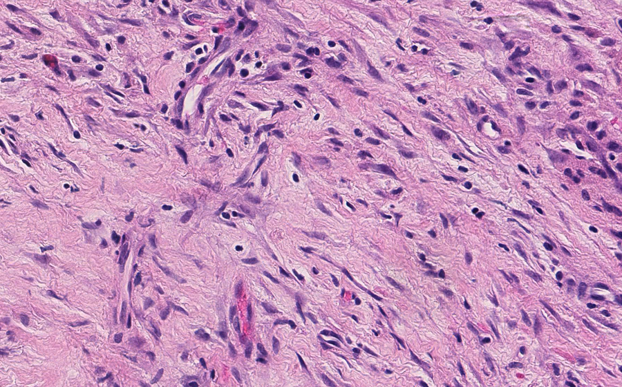 Slide 1 - Image 10