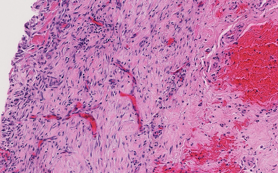Slide 1 - Image 13
