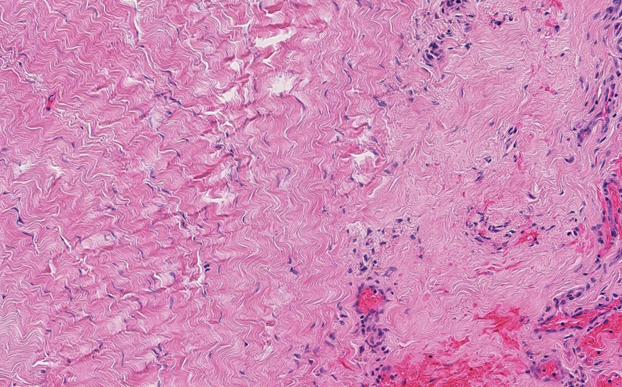 Slide 1 - Image 18