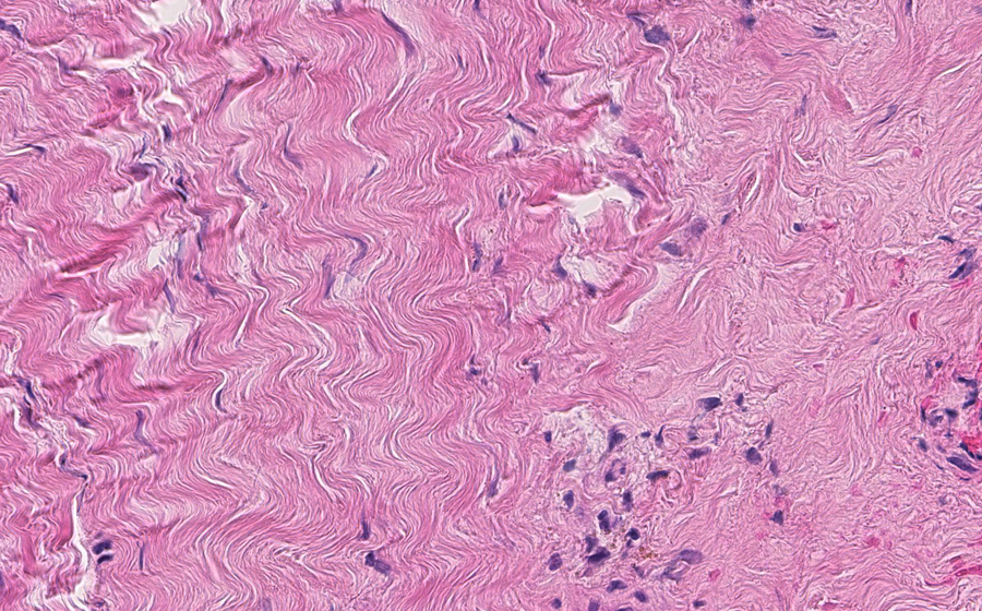 Slide 1 - Image 19