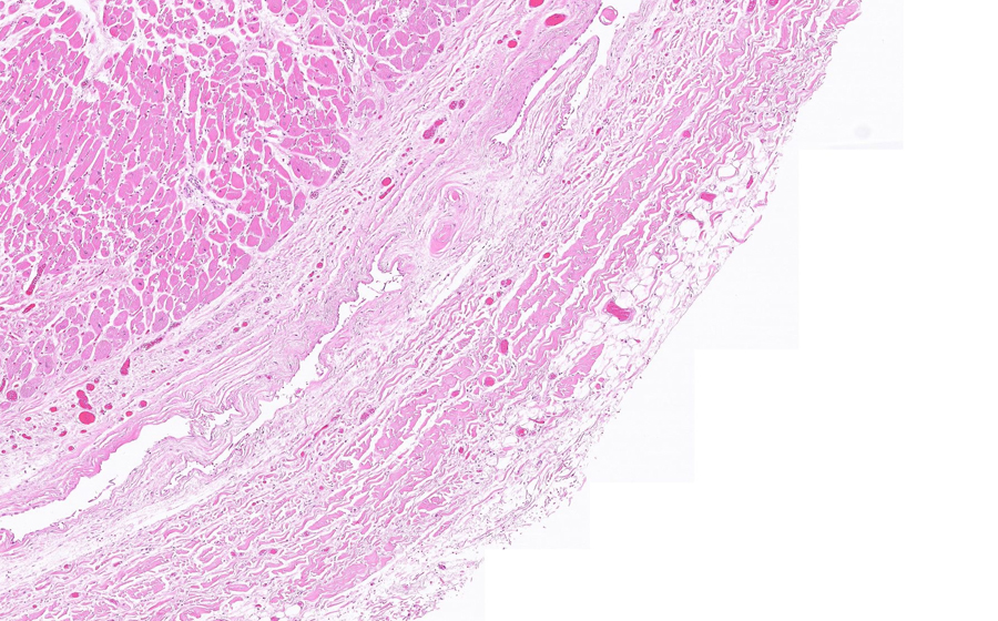 Normal Image 7