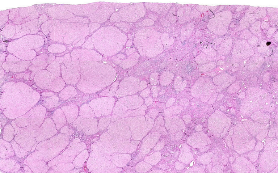Slide 2 - Image 2