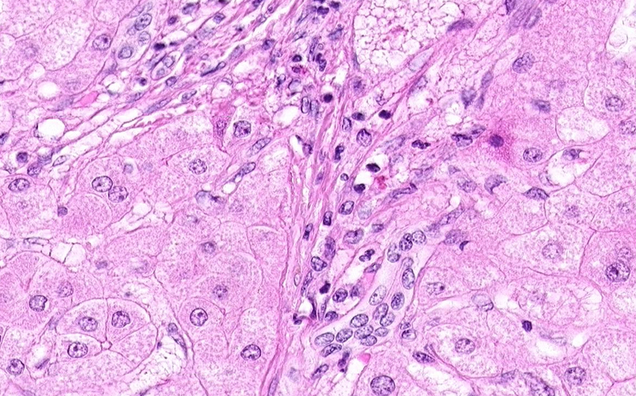 Slide 2 - Image 7
