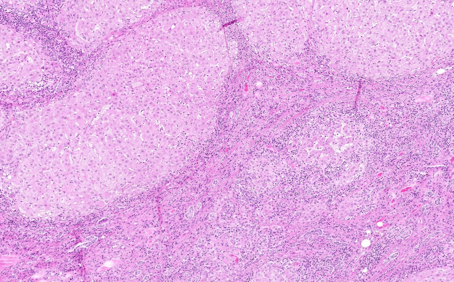 Slide 2 - Image 8