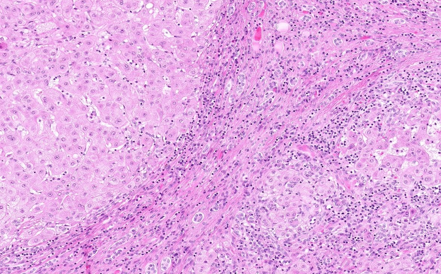 Slide 2 - Image 9
