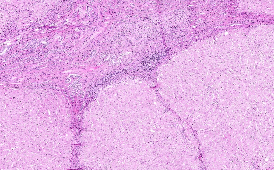 Slide 2 - Image 12
