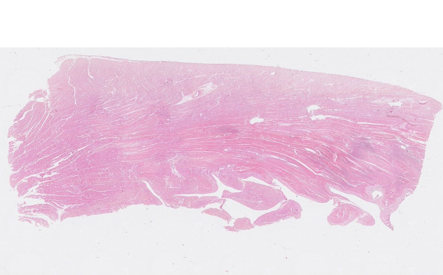 Slide 5 - Image 1