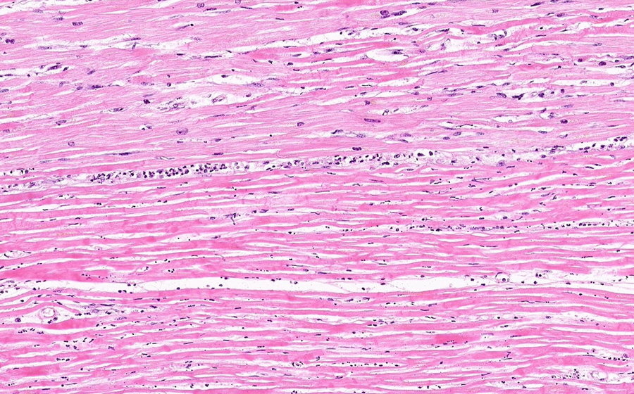 Slide 5 - Image 9