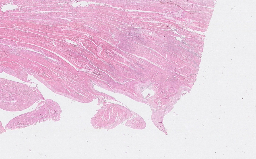 Slide 5 - Image 18