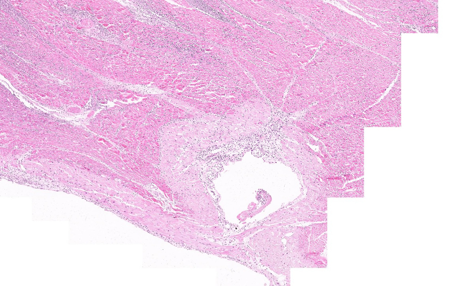 Slide 5 - Image 23