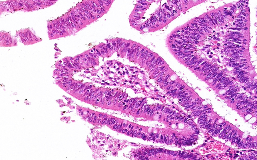 Slide 1 - Image 5
