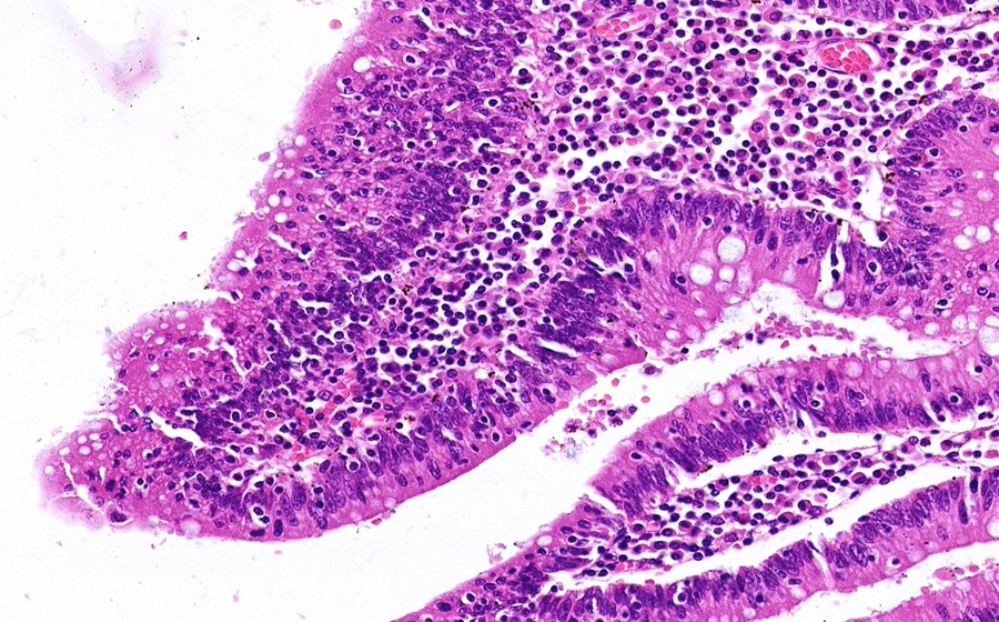 Slide 1 - Image 7