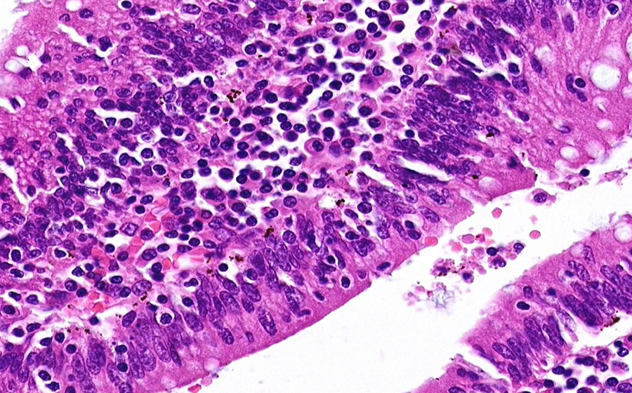 Slide 1 - Image 8