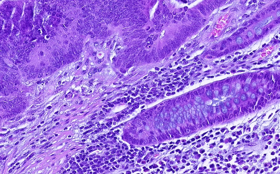 Slide 2 - Image 6