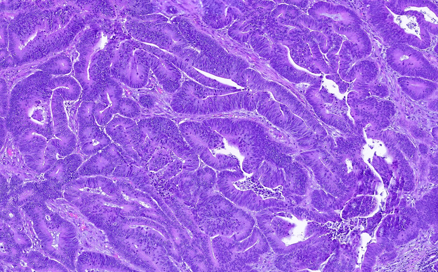 Slide 2 - Image 7